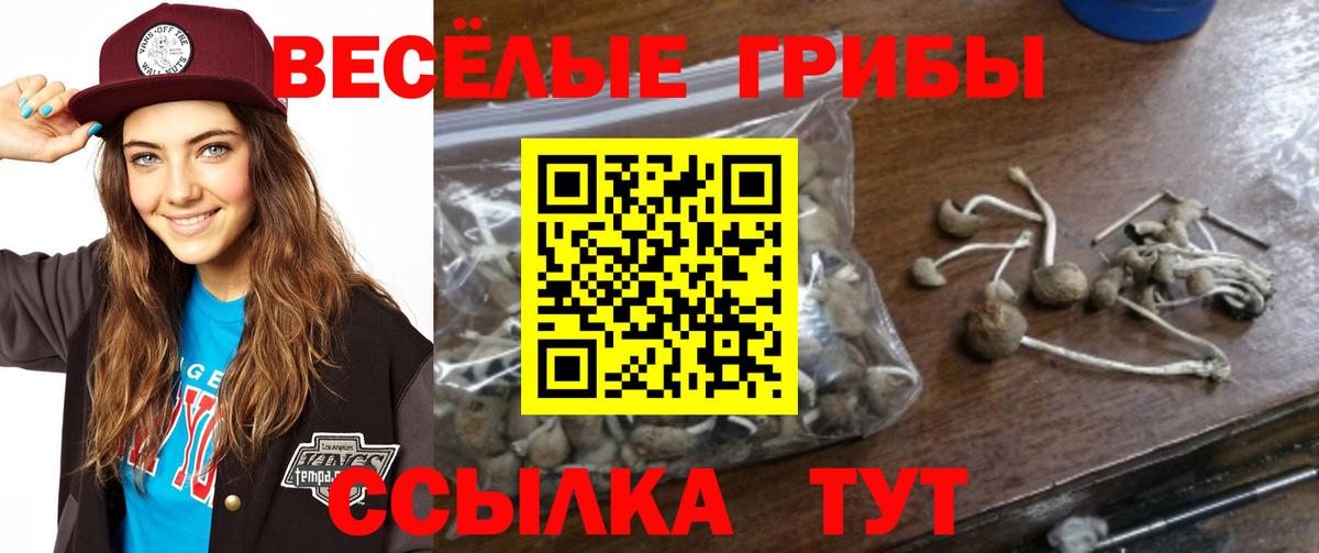Псилоцибиновые грибы Cubensis  Вход с VPN  Псилоцибиновые грибы Cubensis  Горячий Ключ 